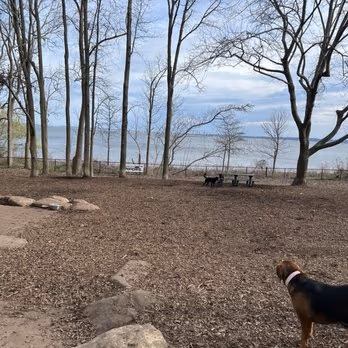 Dog Run at Wolfe's Pond Park photo 2